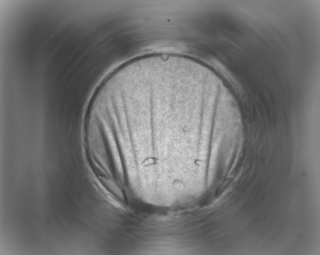 X0000073861240200608312018