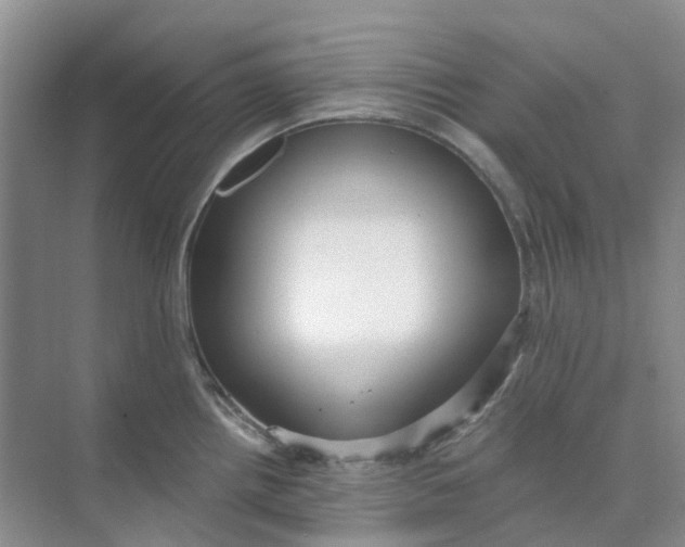 X0000073861242200608312018