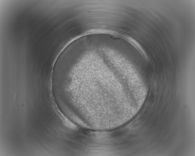 X0000073861244200608312018