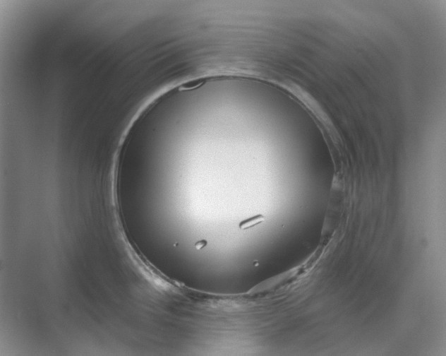 X0000073861246200608312018