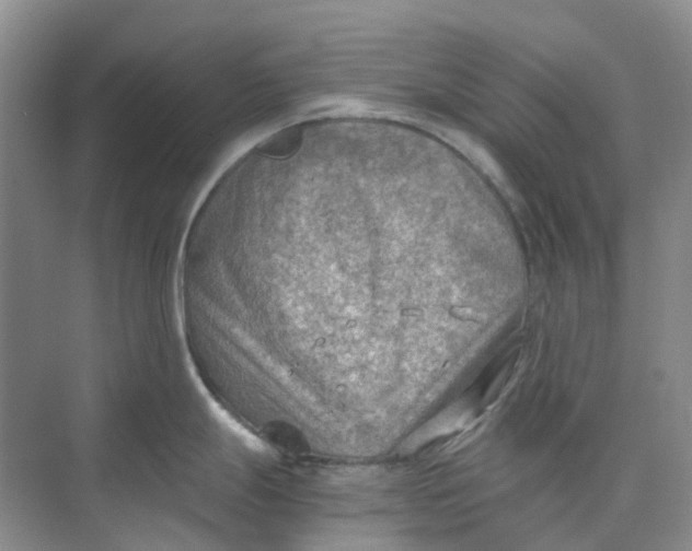 X0000073861247200608312018