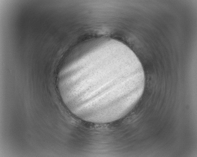 X0000073861249200608312017