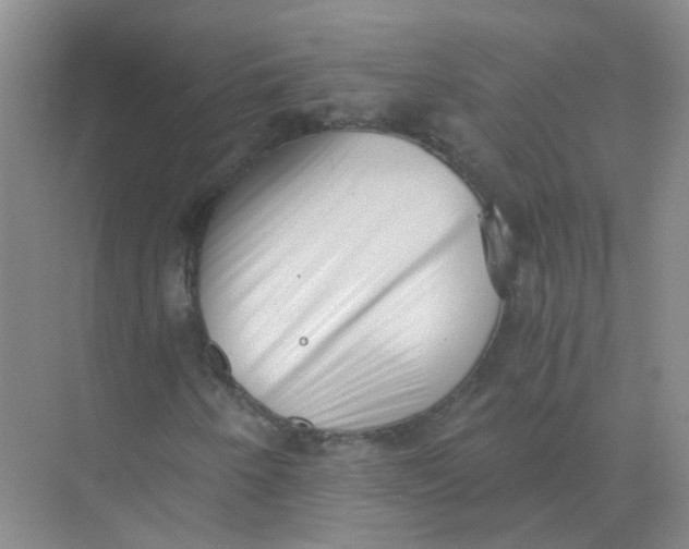 X0000073861250200608312017