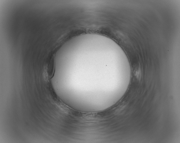 X0000073861252200608312017