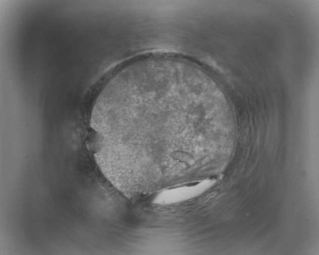 X0000073861255200608312017