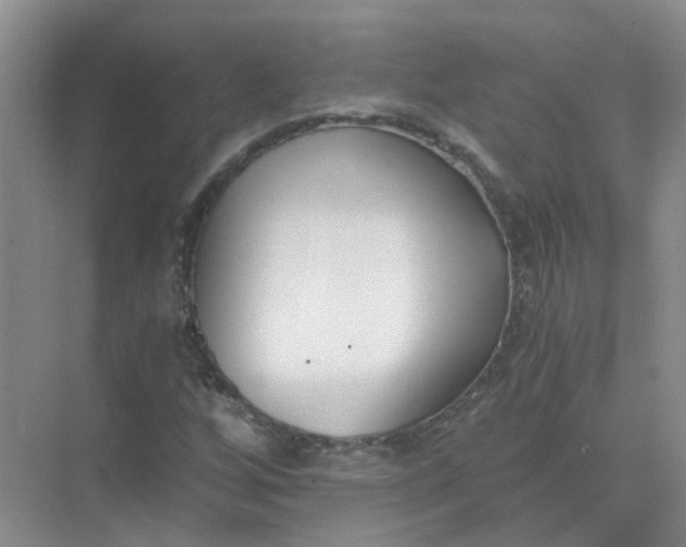 X0000073861256200608312017