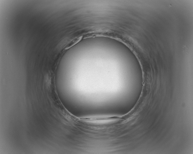 X0000073861257200608312017