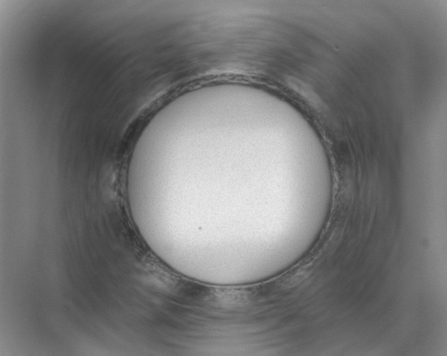 X0000073861258200608312017