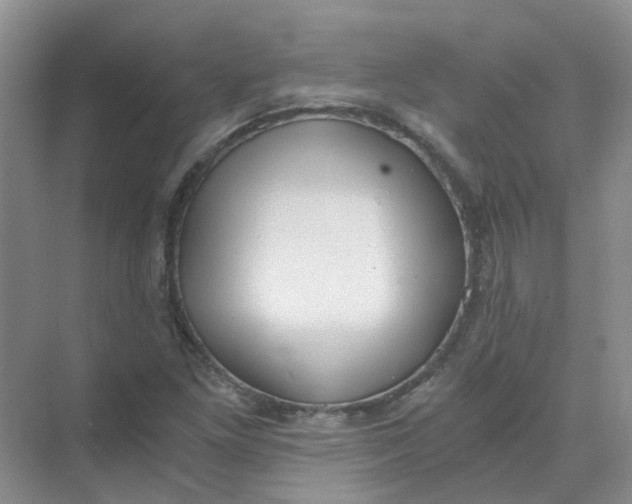 X0000073861261200608312017