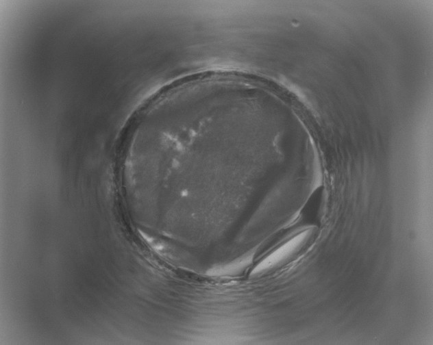 X0000073861263200608312017