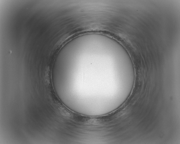 X0000073861265200608312017