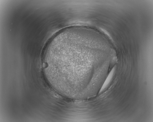 X0000073861267200608312017