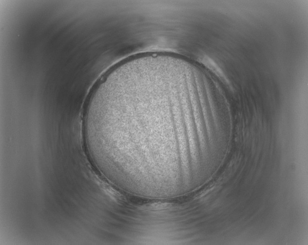 X0000073861268200608312017