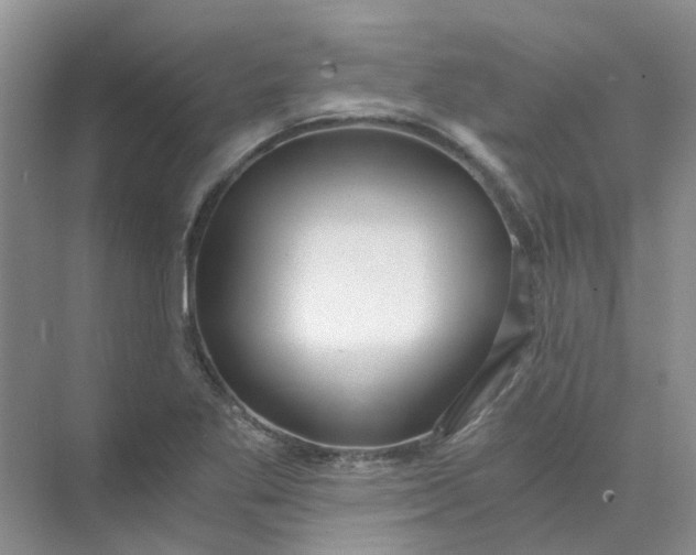 X0000073861269200608312017