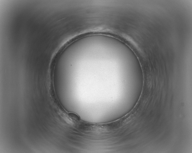 X0000073861270200608312017