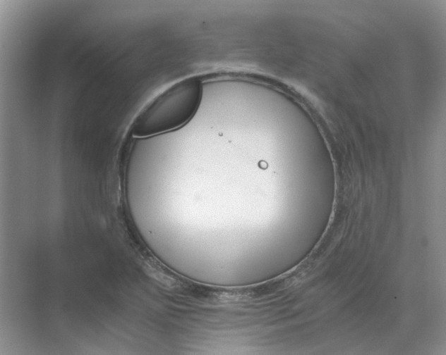 X0000073861271200608312017