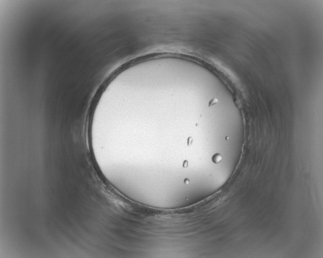 X0000073861272200608312017