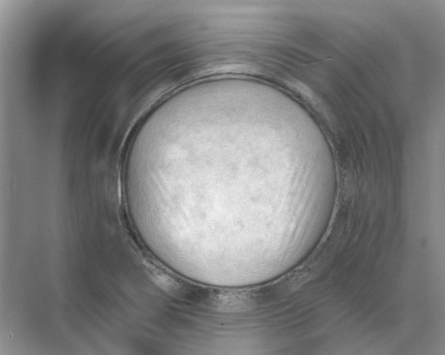 X0000073861274200608312017