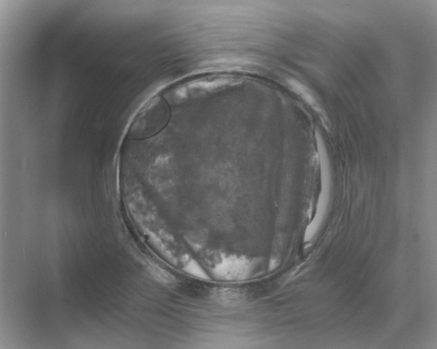 X0000073861275200608312017