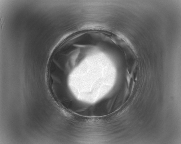 X0000073861277200608312017