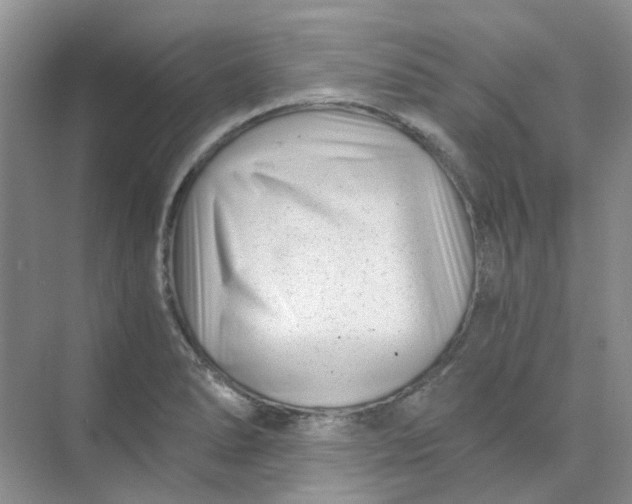 X0000073861278200608312017