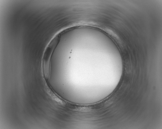 X0000073861280200608312017