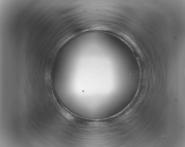 X0000073861281200608312017