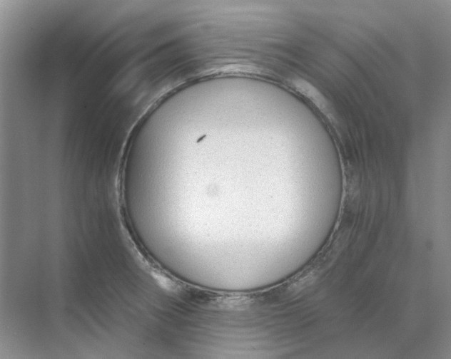 X0000073861282200608312017