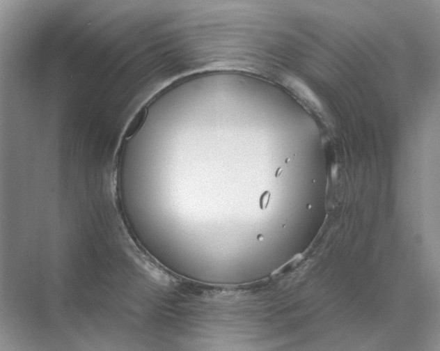 X0000073861284200608312017