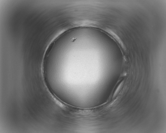 X0000073861285200608312017