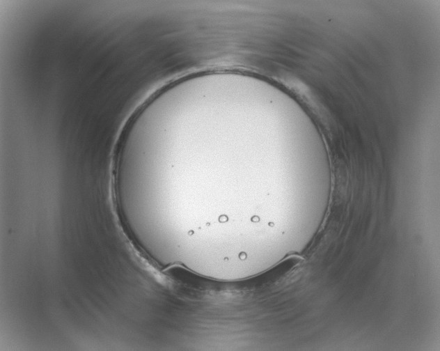 X0000073861286200608312017