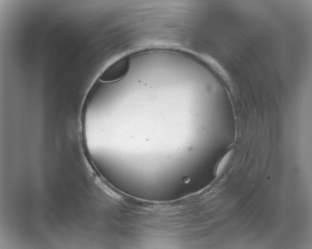 X0000073861287200608312017