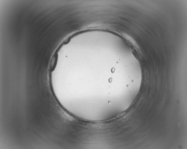 X0000073861288200608312017