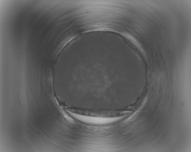 X0000073861289200608312017