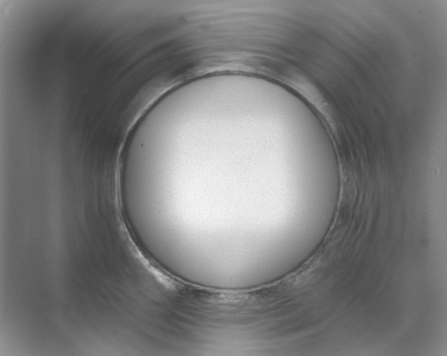 X0000073861290200608312017