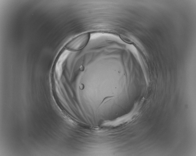 X0000073861291200608312017