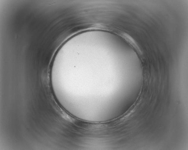 X0000073861292200608312017