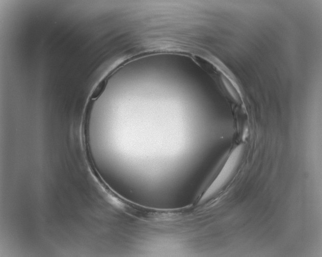 X0000073861293200608312017