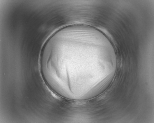 X0000073861294200608312017