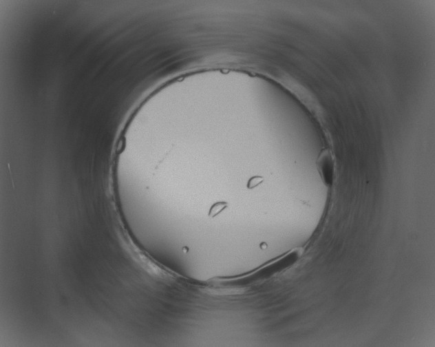 X0000073861296200608312017