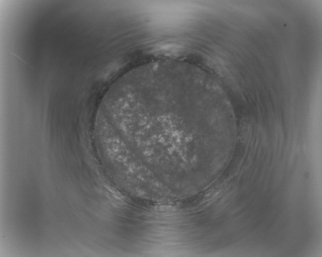 X0000073861297200608312016