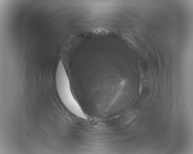 X0000073861298200608312016