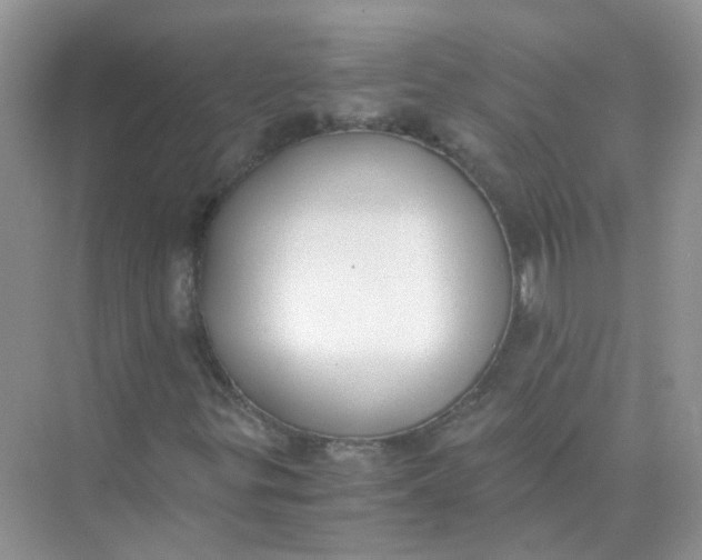 X0000073861299200608312016