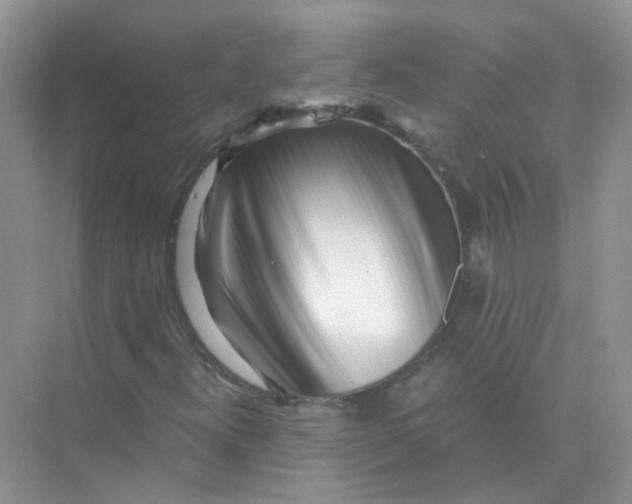 X0000073861300200608312016