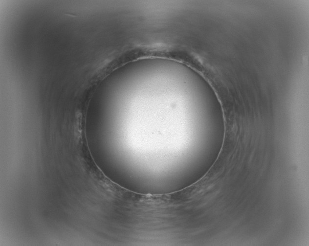 X0000073861301200608312016