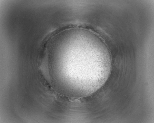 X0000073861302200608312016