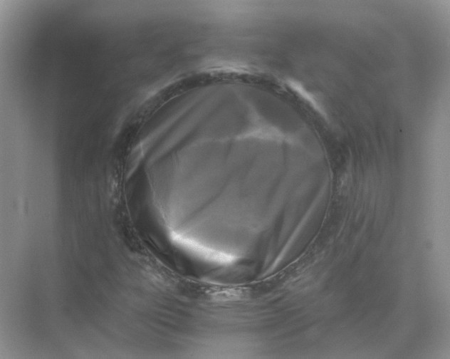 X0000073861303200608312016