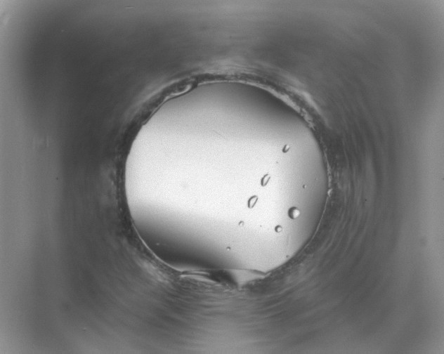 X0000073861304200608312016