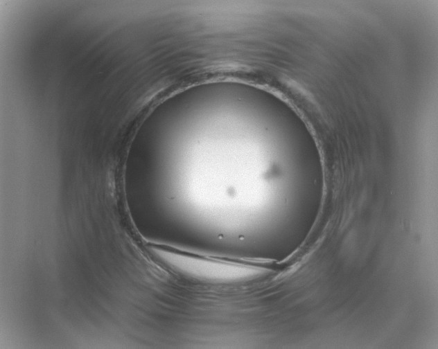 X0000073861305200608312016