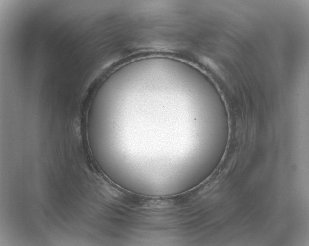 X0000073861307200608312016